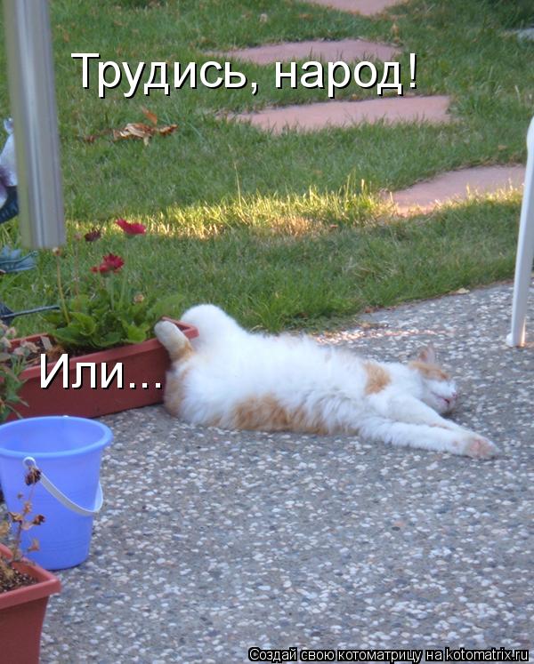 Котоматрица: Трудись, народ! Или...