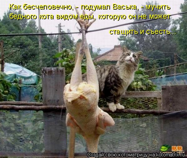 Котоматрица: Как бесчеловечно, - подумал Васька, - мучить бедного кота видом еды, которую он не может стащить и съесть...