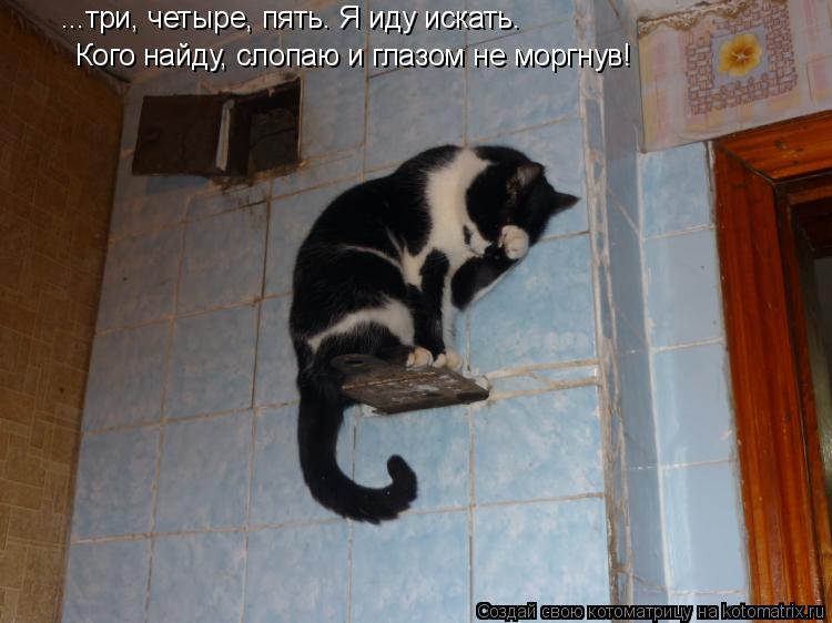 Котоматрица: ...три, четыре, пять. Я иду искать. Кого найду, слопаю и глазом не моргнув!