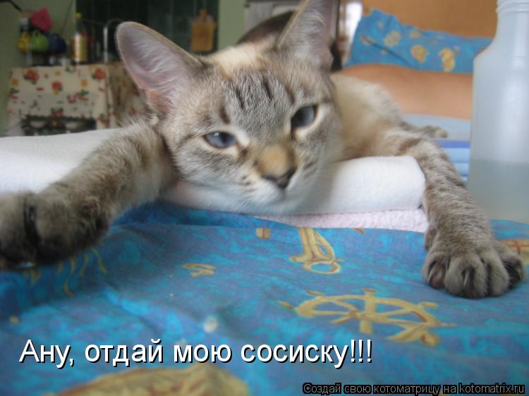 Котоматрица: Ану, отдай мою сосиску!!!