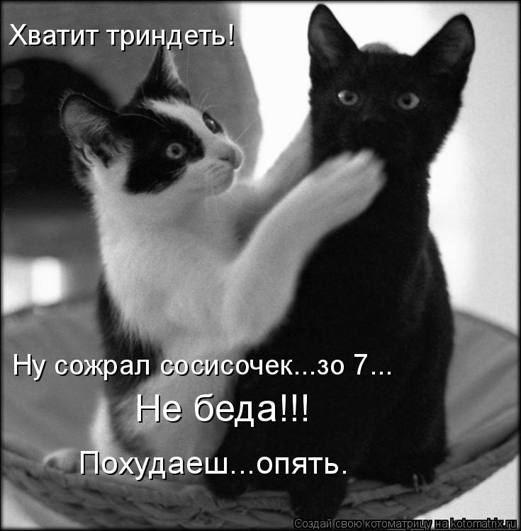 Хватит триндеть! Ну сожрал сосисочек...зо 7... Не беда!!! Похудаеш...опять.... Котоматрица: Хватит триндеть! Ну сожрал сосисочек...зо 7... Не беда!!! Похудаеш...опять.