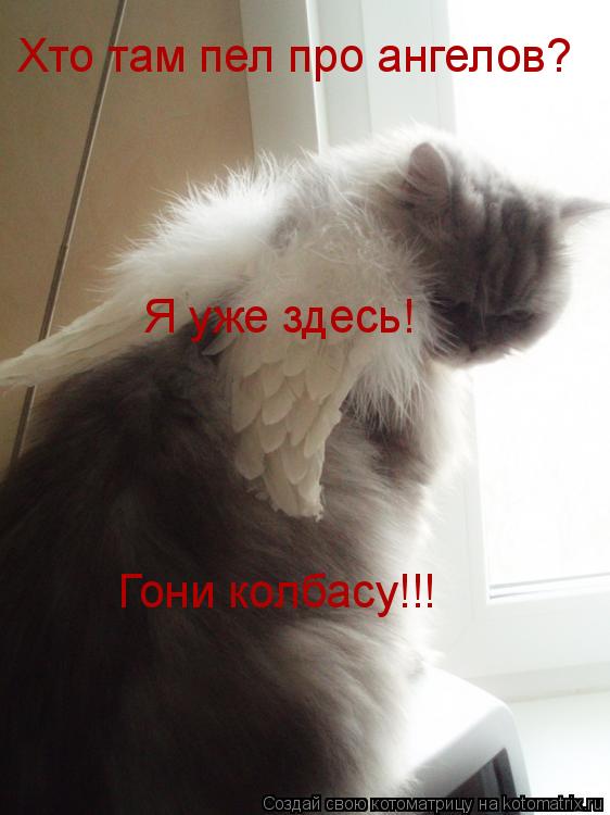 Хто там пел про ангелов? Я уже здесь! Гони колбасу!!!... Котоматрица: Хто там пел про ангелов? Я уже здесь! Гони колбасу!!!