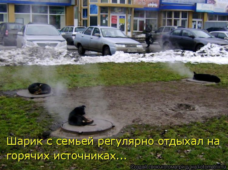 Шарик с семьей регулярно отдыхал на горячих источниках...... Котоматрица: Шарик с семьей регулярно отдыхал на горячих источниках...