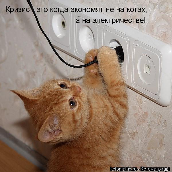 Котоматрица: Кризис - это когда экономят не на котах,  а на электричестве!