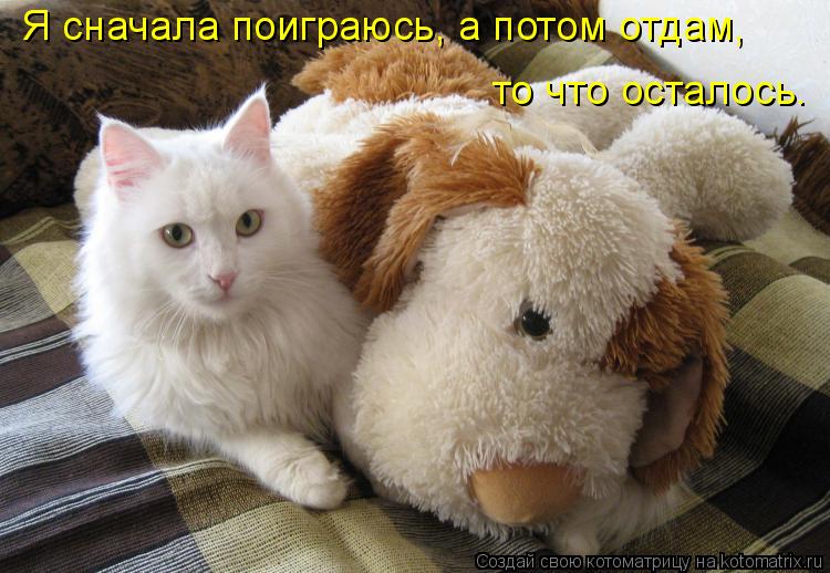 Котоматрица: Я сначала поиграюсь, а потом отдам, то что осталось.