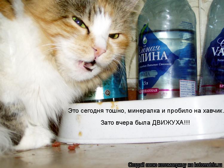 Котоматрица: Это сегодня тошно, минералка и пробило на хавчик...  Зато вчера была ДВИЖУХА!!!