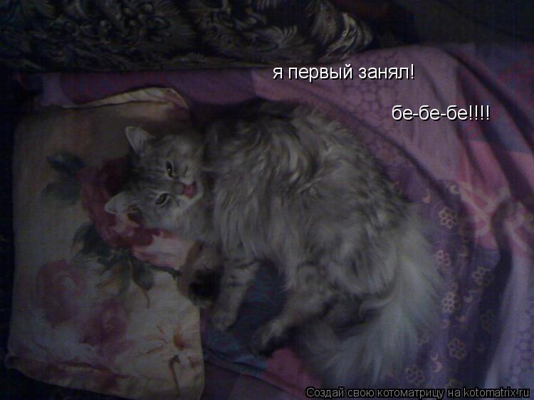 Котоматрица: я первый занял!  бе-бе-бе!!!!