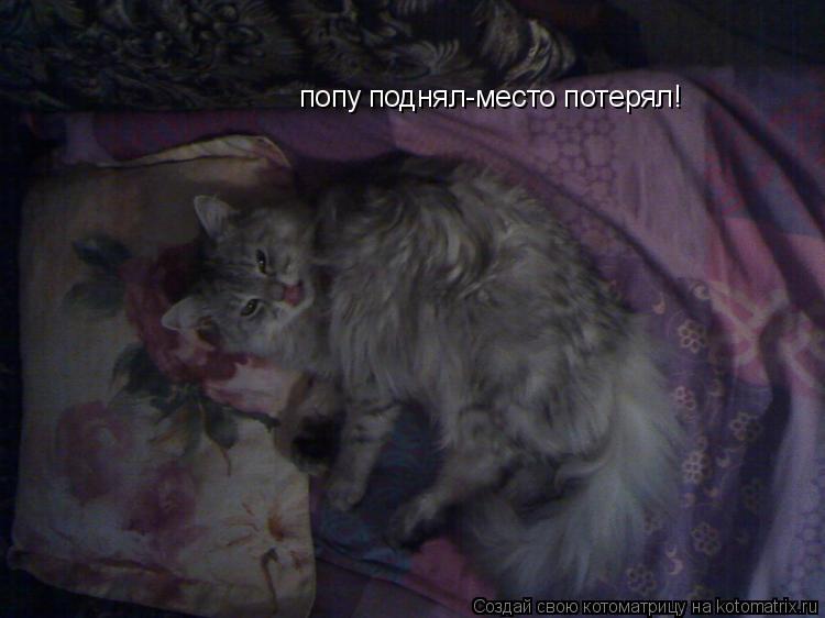 Котоматрица: попу поднял-место потерял!