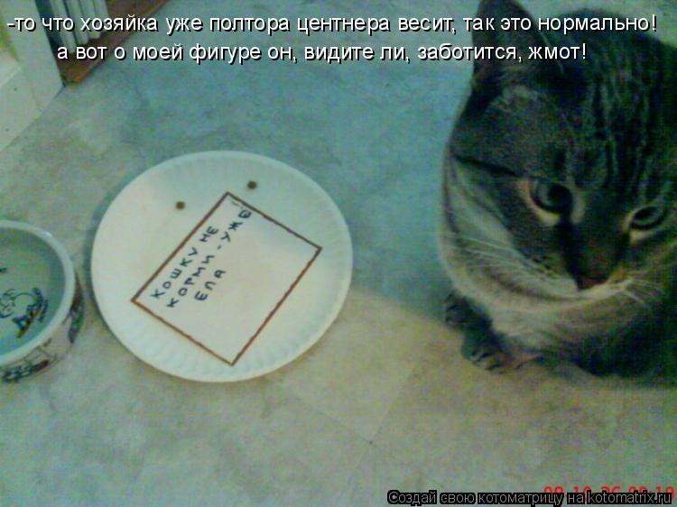 -то что хозяйка уже полтора центнера весит, так это нормально! а вот о моей фигуре он, видите ли, за... Котоматрица: -то что хозяйка уже полтора центнера весит, так это нормально! а вот о моей фигуре он, видите ли, заботится, жмот!