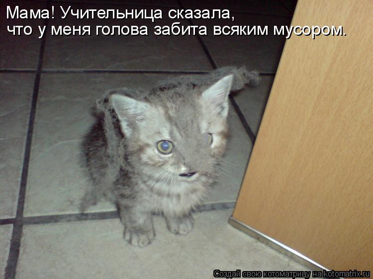 Мама! Учительница сказала, что у меня голова забита всяким мусором.... Котоматрица: Мама! Учительница сказала, что у меня голова забита всяким мусором.
