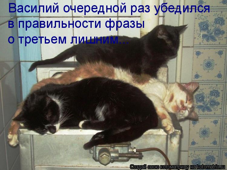 Котоматрица: Василий очередной раз убедился в правильности фразы о третьем лишним...