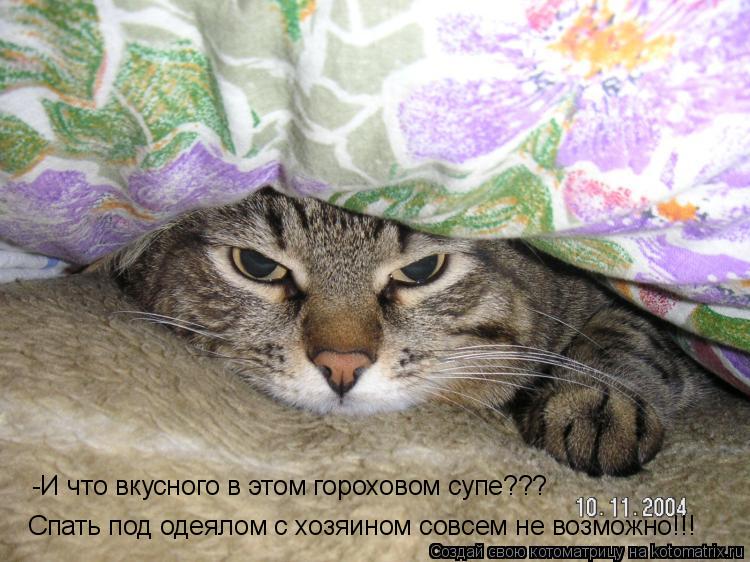 Котоматрица: Спать под одеялом с хозяином совсем не возможно!!! -И что вкусного в этом гороховом супе???