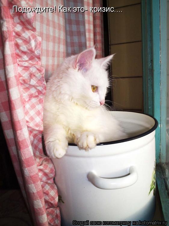Котоматрица: Подождите! Как это- кризис....