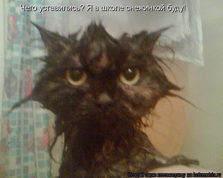 Котоматрица: Чего уставились? Я в школе снежинкой буду!