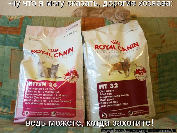 -ну что я могу сказать, дорогие хозяева: ведь можете, когда захотите!... Котоматрица: -ну что я могу сказать, дорогие хозяева: ведь можете, когда захотите!