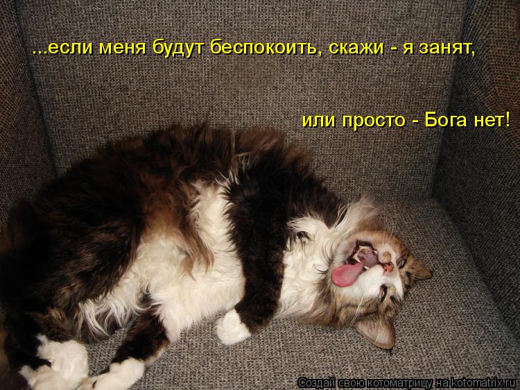 Котоматрица: ...если меня будут беспокоить, скажи - я занят,  или просто - Бога нет!