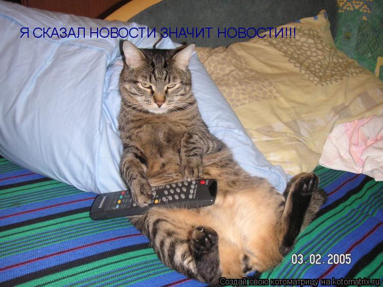 Котоматрица: Я СКАЗАЛ НОВОСТИ ЗНАЧИТ НОВОСТИ!!!