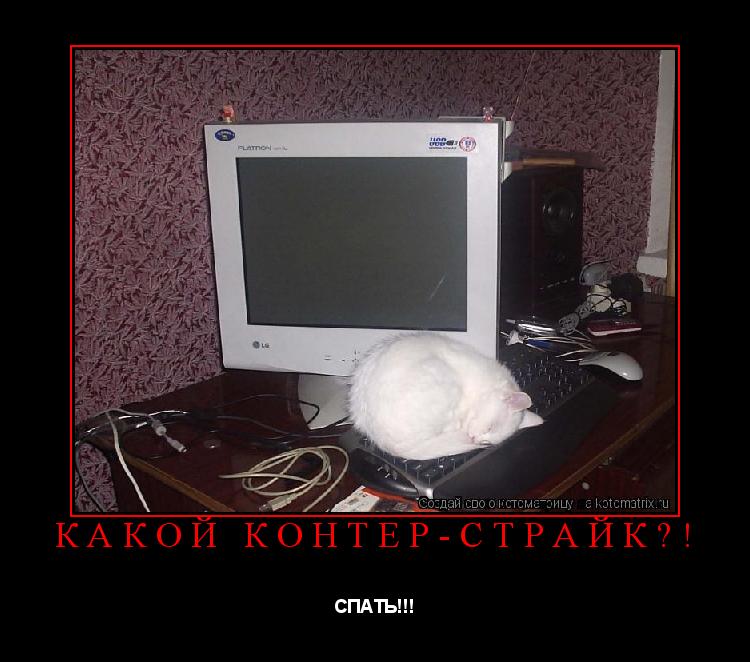 Котоматрица: Какой Контер-страйк?! СПАТЬ!!!