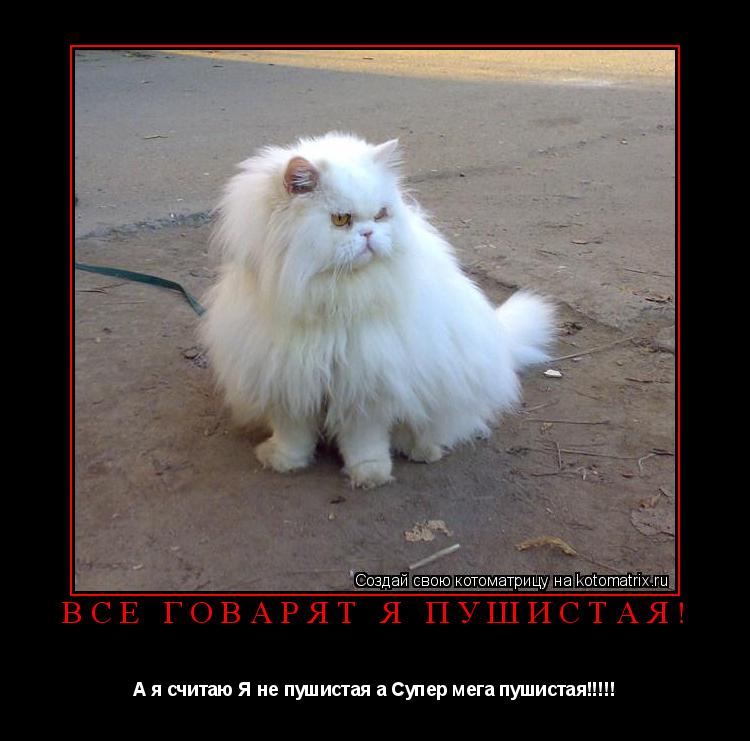 Все Говарят я пушистая! А я считаю Я не пушистая а Супер мега пушистая!!!!!... Котоматрица: Все Говарят я пушистая! А я считаю Я не пушистая а Супер мега пушистая!!!!!