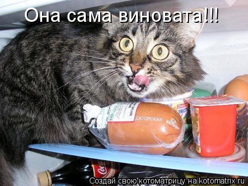 Она сама виновата!!!... Котоматрица: Она сама виновата!!!
