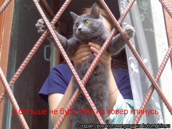 Котоматрица: я больше не буду сать на ковёр клинусь хвостом я больше не буду сать на ковёр клинусь