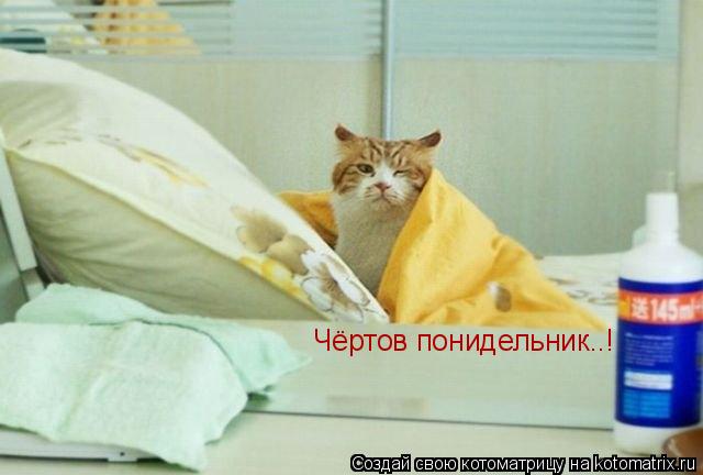 Котоматрица: Чёртов понидельник..!