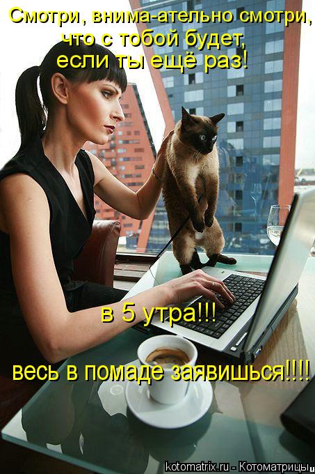 Котоматрица: Смотри, внима-ательно смотри, что с тобой будет, если ты ещё раз! в 5 утра!!! весь в помаде заявишься!!!!