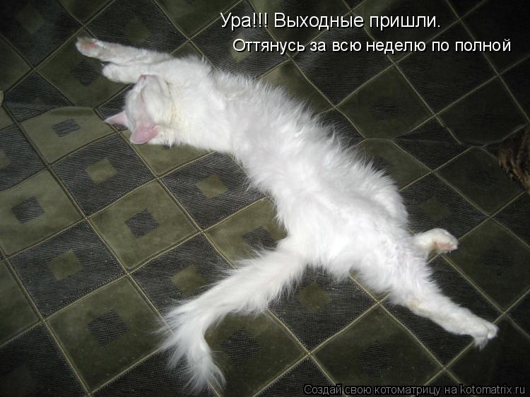 http://kotomatrix.ru/images/lolz/2009/12/17/435322.jpg