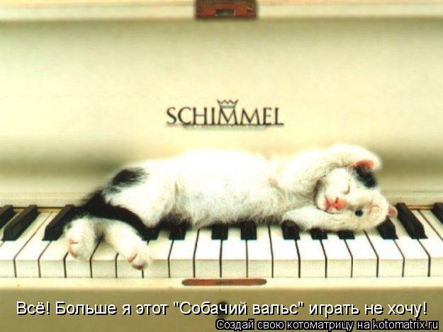 Котоматрица: Всё! Больше я этот "Собачий вальс" играть не хочу!