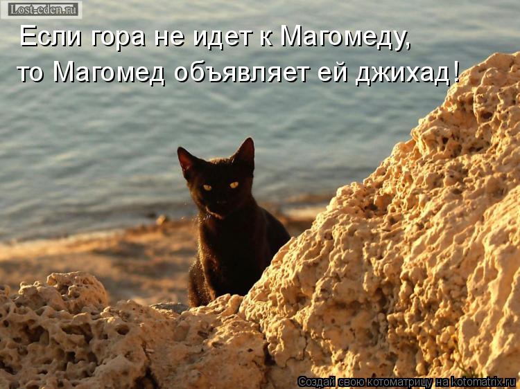 Если гора не идет к Магомеду, то Магомед объявляет ей джихад!... Котоматрица: Если гора не идет к Магомеду, то Магомед объявляет ей джихад!