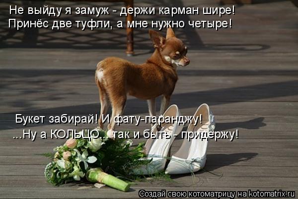 Не выйду я замуж - держи карман шире! Принёс две туфли, а мне нужно четыре! ...Ну а КОЛЬЦО... так и б... Котоматрица: Не выйду я замуж - держи карман шире! Принёс две туфли, а мне нужно четыре! ...Ну а КОЛЬЦО... так и быть - придержу! Букет забирай! И фату-паранджу!