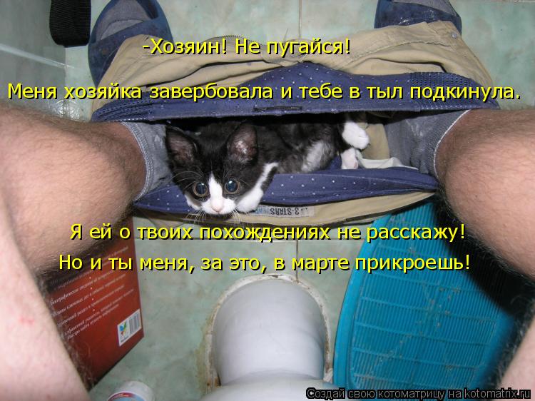 Котоматрица: Я ей о твоих похождениях не расскажу! Но и ты меня, за это, в марте прикроешь! Меня хозяйка завербовала и тебе в тыл подкинула. -Хозяин! Не пуга
