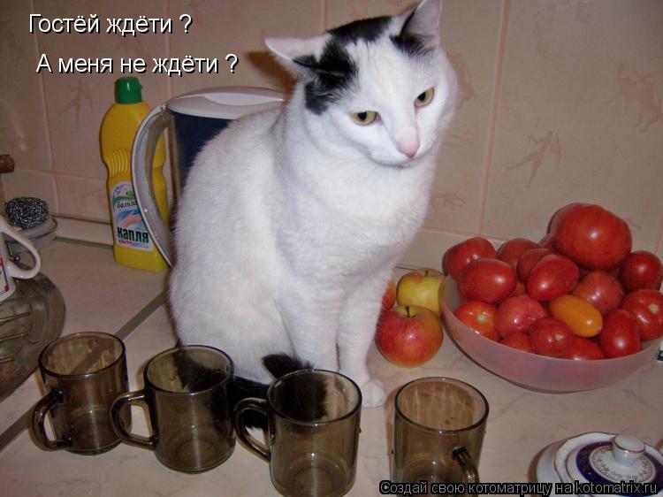 Котоматрица: Гостёй ждёти ?  А меня не ждёти ?