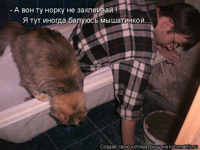 - А вон ту норку не заклеивай !... Я тут иногда балуюсь мышатинкой...... Котоматрица: - А вон ту норку не заклеивай !... Я тут иногда балуюсь мышатинкой...