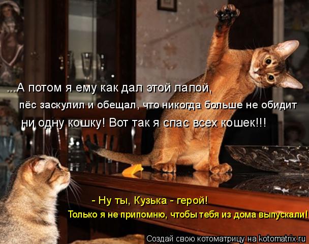 ...А потом я ему как дал этой лапой, пёс заскулил и обещал, что никогда больше не обидит ни одну кош... Котоматрица: ...А потом я ему как дал этой лапой, пёс заскулил и обещал, что никогда больше не обидит ни одну кошку! Вот так я спас всех кошек!!! Только я не п