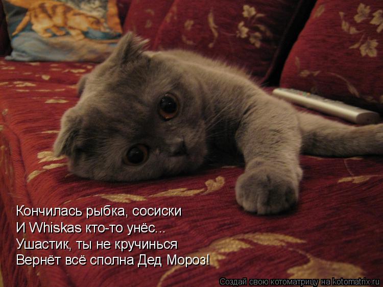 Котоматрица: Кончилась рыбка, сосиски И Whiskas кто-то унёс... Ушастик, ты не кручинься Вернёт всё сполна Дед Мороз!