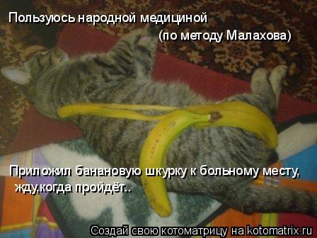 Котоматрица: Пользуюсь народной медициной  (по методу Малахова) Приложил банановую шкурку к больному месту, жду,когда пройдёт..