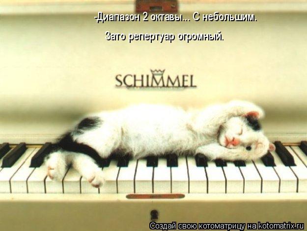 Котоматрица: -Диапазон 2 октавы... С небольшим. Зато репертуар огромный.