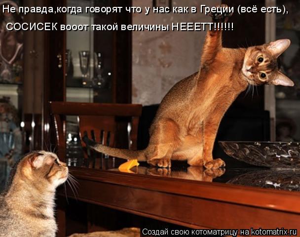 Котоматрица: Не правда,когда говорят что у нас как в Греции (всё есть), СОСИСЕК вооот такой величины НЕЕЕТТ!!!!!!