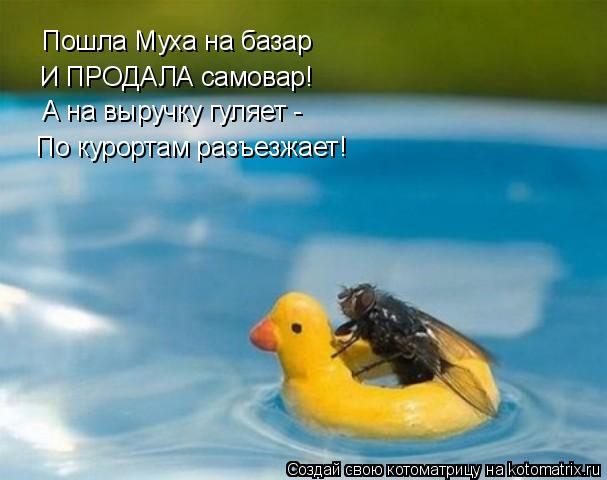 Пошла Муха на базар И ПРОДАЛА самовар! А на выручку гуляет - По курортам разъезжает!... Котоматрица: Пошла Муха на базар И ПРОДАЛА самовар! А на выручку гуляет - По курортам разъезжает!