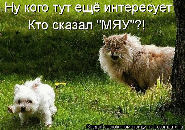 http://kotomatrix.ru/images/lolz/2009/12/17/435612.jpg