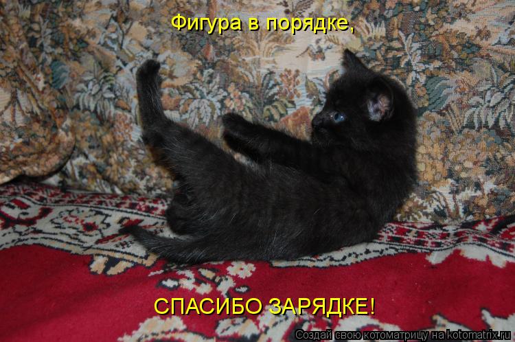 Котоматрица: Фигура в порядке, СПАСИБО ЗАРЯДКЕ!