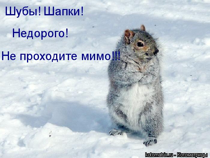 Котоматрица: Шубы! Шапки! Недорого! Не проходите мимо!!!