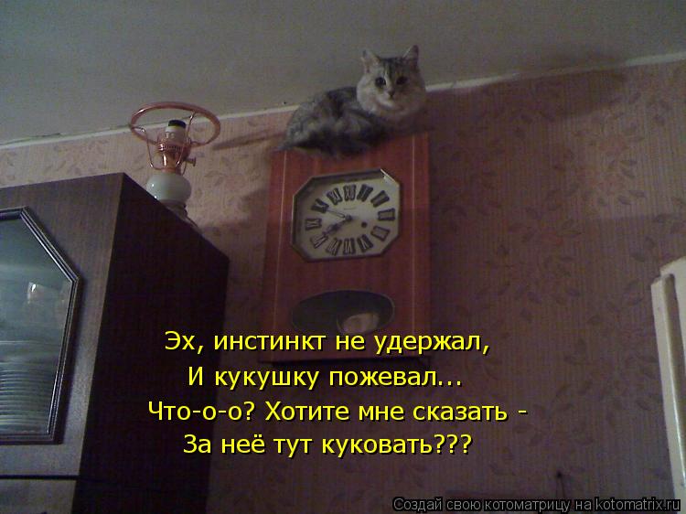 Эх, инстинкт не удержал, И кукушку пожевал... Что-о-о? Хотите мне сказать - За неё тут куковать???... Котоматрица: Эх, инстинкт не удержал, И кукушку пожевал... Что-о-о? Хотите мне сказать - За неё тут куковать???
