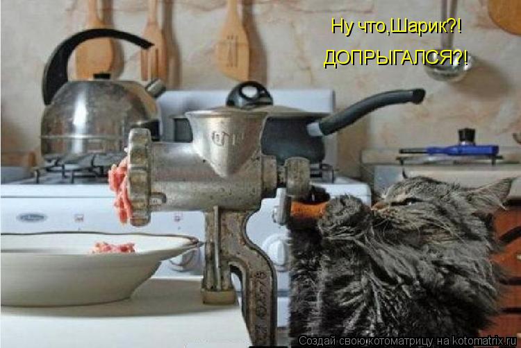Ну что,Шарик?! ДОПРЫГАЛСЯ?!... Котоматрица: Ну что,Шарик?! ДОПРЫГАЛСЯ?!
