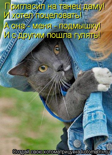 Пригласил на танец даму! И хотел поцеловать! А она - меня - подмышку! И с другим пошла гулять!... Котоматрица: Пригласил на танец даму! И хотел поцеловать! А она - меня - подмышку! И с другим пошла гулять!