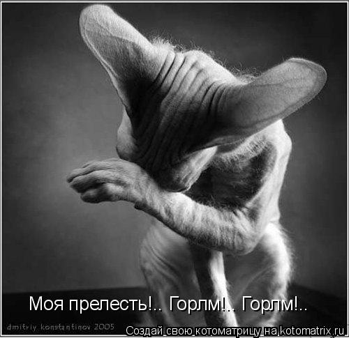 Моя прелесть!.. Горлм!.. Горлм!..... Котоматрица: Моя прелесть!.. Горлм!.. Горлм!..