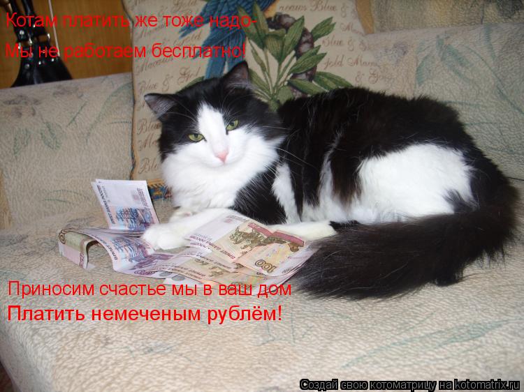 Мы не работаем бесплатно! Котам платить же тоже надо- Приносим счастье мы в ваш дом Платить немеченым... Котоматрица: Мы не работаем бесплатно! Котам платить же тоже надо- Приносим счастье мы в ваш дом Платить немеченым рублём!