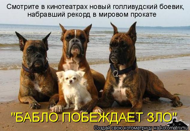 Смотрите в кинотеатрах новый голливудский боевик, набравший рекорд в мировом прокате "БАБЛО ПОБЕЖДАЕТ... Котоматрица: Смотрите в кинотеатрах новый голливудский боевик, набравший рекорд в мировом прокате "БАБЛО ПОБЕЖДАЕТ ЗЛО"