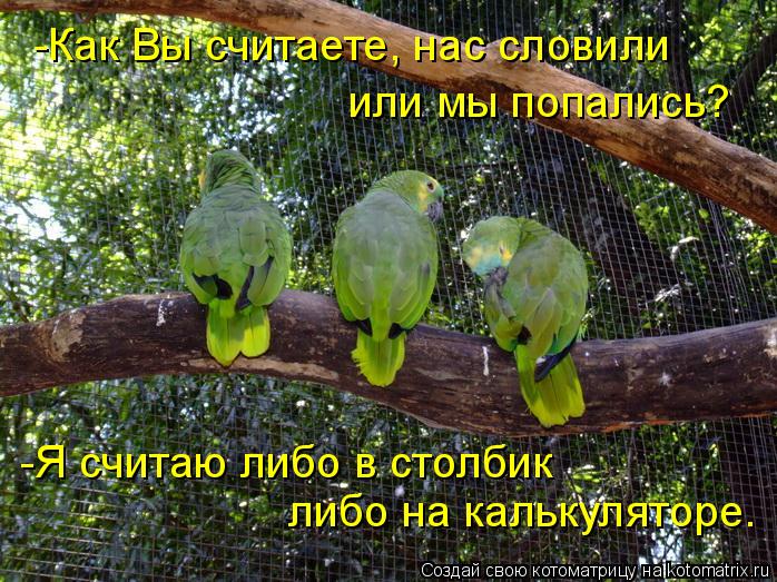 Котоматрица: -Как Вы считаете, нас словили или мы попались? -Я считаю либо в столбик  либо на калькуляторе.